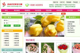 濟(jì)南網(wǎng)站建設(shè)與優(yōu)化服務(wù)全解析 從制作到推廣再到備案